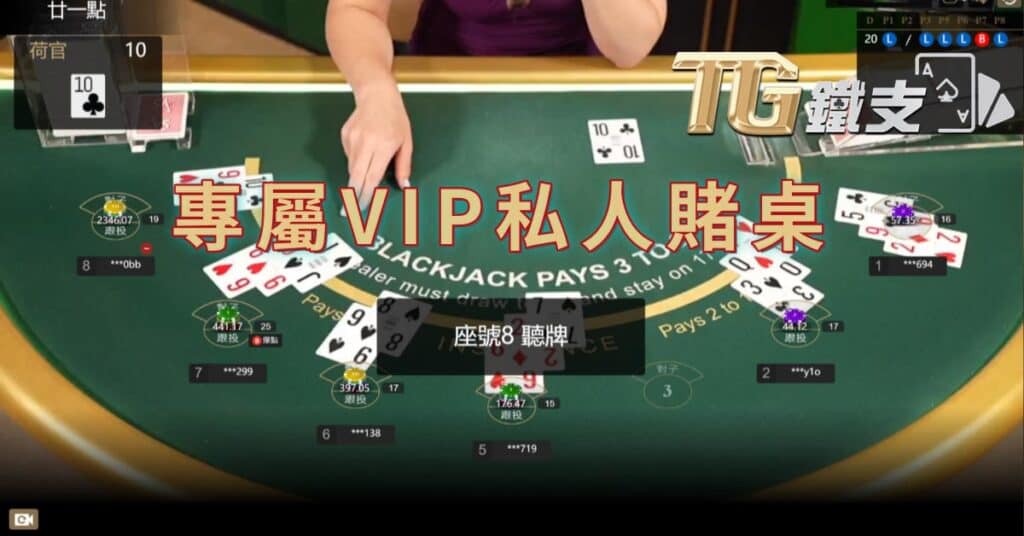 專屬遊戲體驗：VIP私人賭桌，因為您值得特別對待！